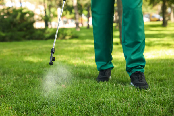 Best Residential Pest Control  in Mathews, VA