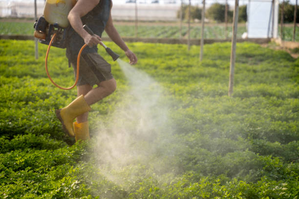 Professional Pest Control in Mathews, VA