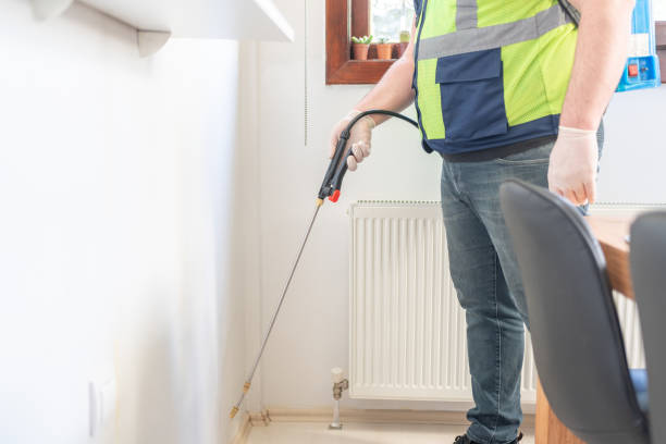 Flea Control Services in Mathews, VA