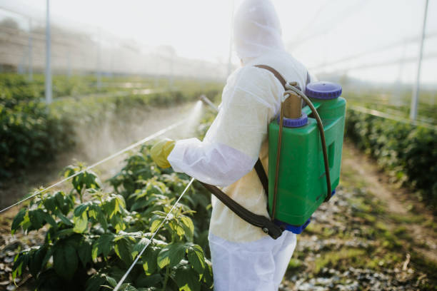 Best Pest Removal Services  in Mathews, VA